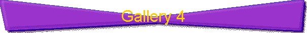 Gallery 4